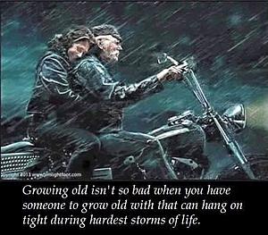 Best Harley/Riding Memes - Let's see 'em!-bikermem2.jpg