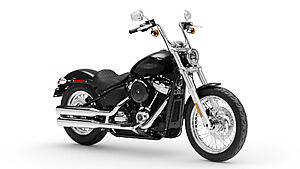 Death of the Street Bob?-2020-harley-davidson-softail-standard.jpg