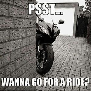 Best Harley/Riding Memes - Let's see 'em!-pjqbvit.jpg