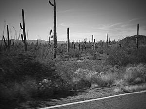 Tucson &quot;Winter&quot; Ride-kfh6ras.jpg