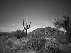 Tucson &quot;Winter&quot; Ride-l703voj.jpg