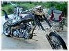 Gator Harley....-att00021444.jpg