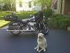 I Wish I Had It...RIGHT NOW!-nellie-and-the-harley.jpg