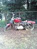 got an 82 sporty for0, needs tranny work-sporty-1.jpg