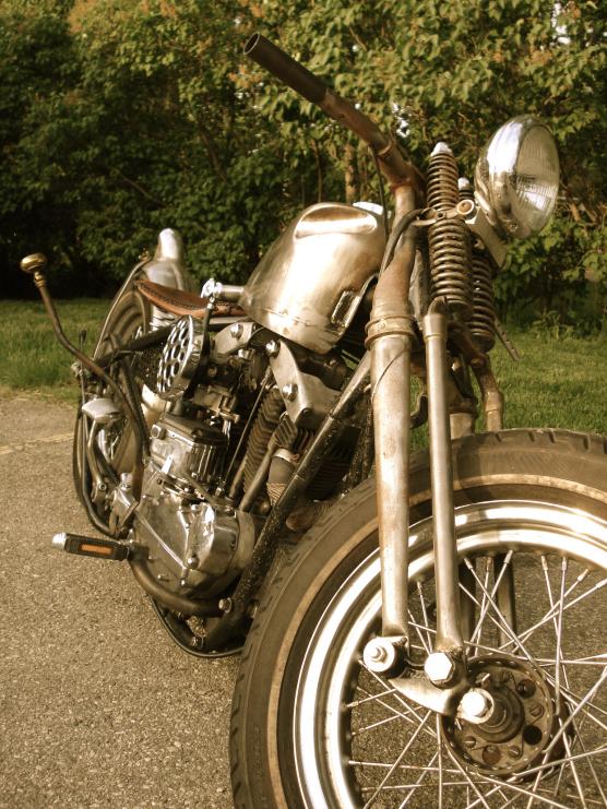 Knucklehead springer deals