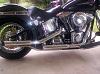 Softail Python 3 exhaust-python3.jpg