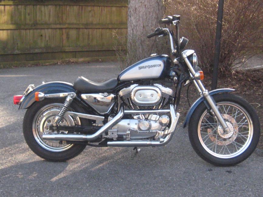 sportsters for sale