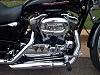 2007 1200 Sportster Custom-100_1579.jpg