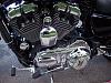 2007 1200 Sportster Custom-100_1523-4.jpg