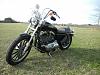 08 Sportster XL1200-dscn1174.jpg