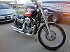 09 Sportster 1200C - Clarksville, TN 00-bike-3.jpg