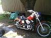 99 wide glide needs a new home-imag0041.jpg