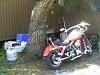 99 wide glide needs a new home-imag0040.jpg