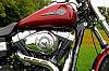 2009 Harley Davidson Fat Bob ,300.00-web5.jpg