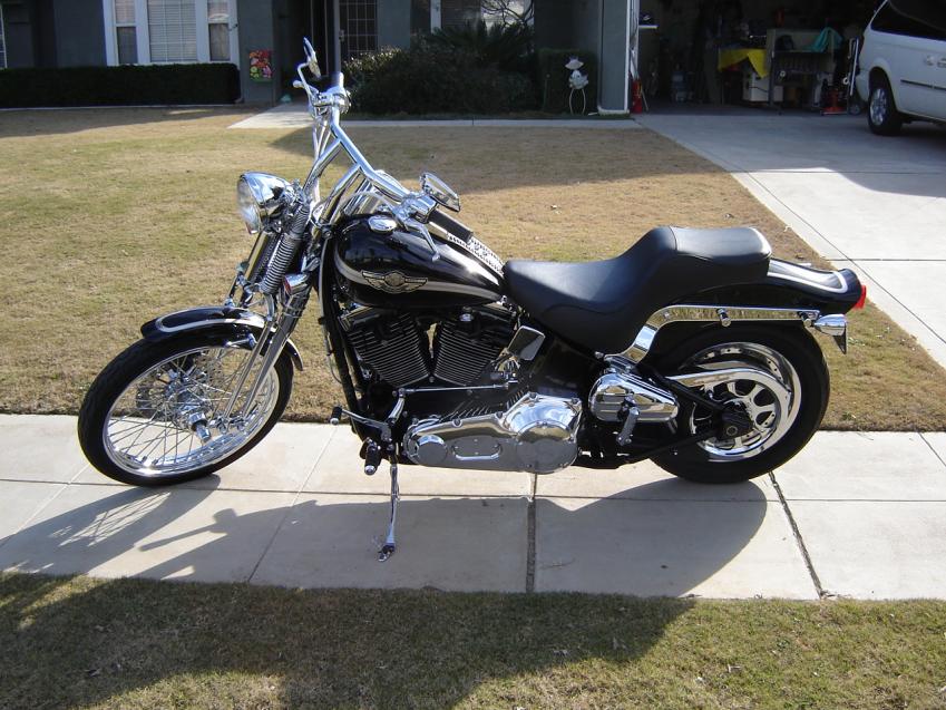 2003 FXSTS softail springer - Harley Davidson Forums