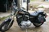 2003 HD Sportster 1200-davebike1.jpg