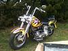 1976 Shovelhead FL-shovel.jpg