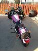 2012 Pink HD 883 Sportster superlow-nikki2.jpg