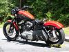 ***2011 HD SPORTSTER NIGHTSTER. Ultra low mi,***-100_5730.jpg