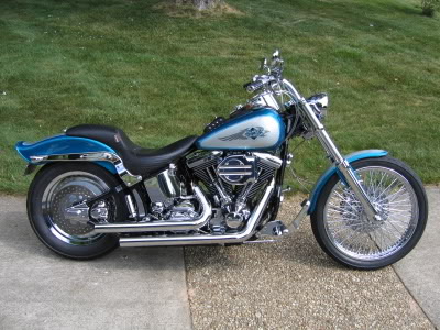 1995 softail custom