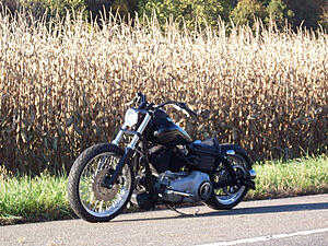 FS:  2009 Dyna Street Bob, Bobbed-vabk8.jpg