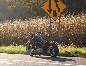 FS:  2009 Dyna Street Bob, Bobbed-hfdu8.jpg