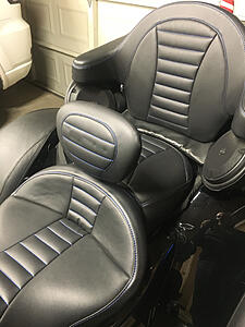 Mustang Seat and Backrests-photo459.jpg