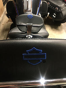 Mustang Seat and Backrests-photo987.jpg