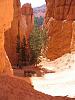 Input please on southern Utah trip-bryce-canyon-02.jpg