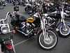 GBW 2010 Photos set 9-bikeweek-45.jpg