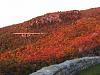 Grandfather Mtn./BRP Fall Color-10-10-10-063.jpg