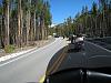 How do the Bison in Yellowstone act toward us on bikes?-day-6-buffalo-walked-right-past-up-on-road.jpg