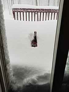 Wind therapy.-beer-in-snow.jpg