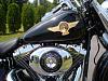 Fatcat's on softails thread-dsc00352.jpg