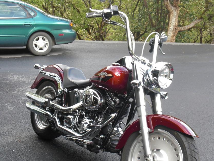 Pics of apes on a Fatboy - Harley Davidson Forums