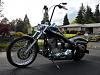 Pics of raked softails! Please put them up!-dscn0980-medium-.jpg