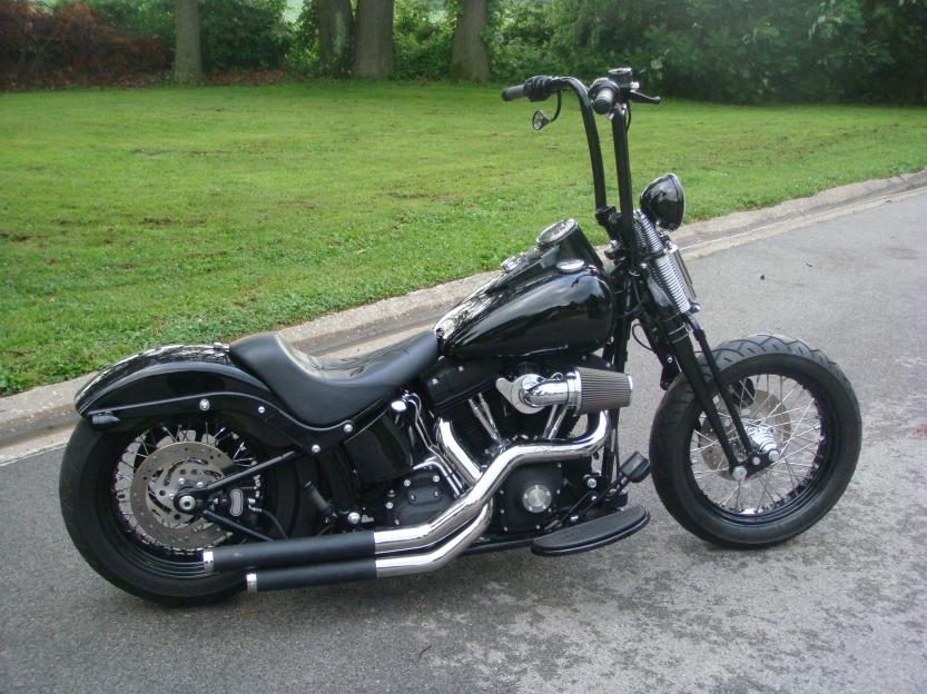 https://www.hdforums.com/forum/attachments/softail-models/128713d1279651248-pics-of-nash-gimps-on-springers-bike2.jpg