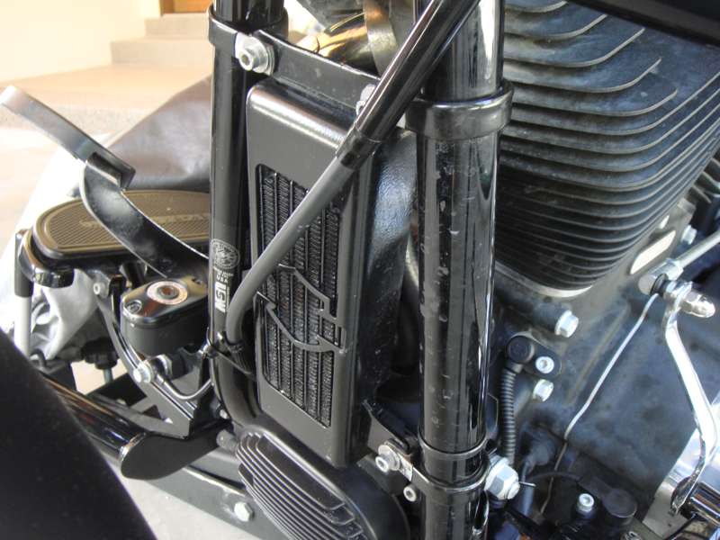 softail oil cooler