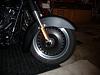 New Fat Boy Lo front fender-full-fender.jpg