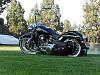 &quot;LETS SEE YOUR LOWERED SOFTAILS&quot; NO 4X4's please-sdc11705.jpg