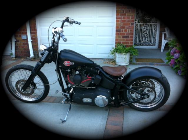 night train bobber