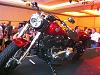 New softail &quot;Softail Slim&quot; on HD website:pic-slim.jpg