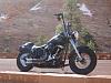 Got the Slim out for some pics...-harley-1231.jpg