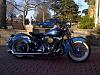 out from hibernation - springer classic-img-20120320-00158.jpg