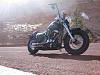 2012 harley softtail slim-harley-1229.jpg