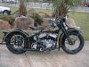 Calling all Springers!-39-harley.jpg