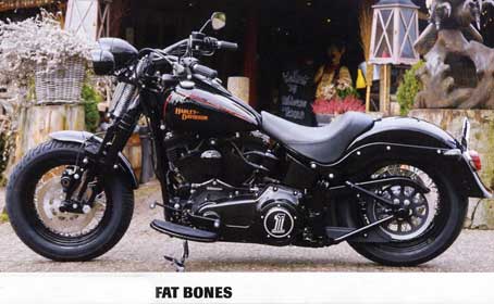 2008 fatboy rear fender