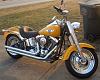 Lets see some customized yellow softails!-march2013-002123.jpg