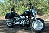 Softail Baggers Only...Pics please-riverpics3.jpg