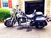 Softail Baggers Only...Pics please-bag1.jpg